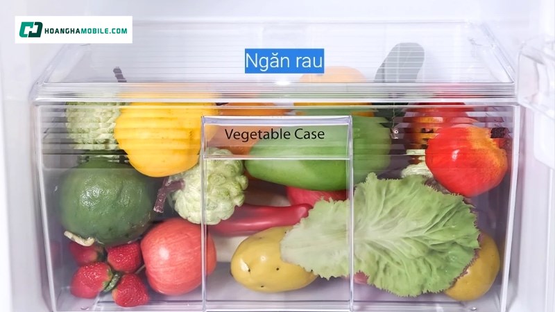 Ngăn rau quả Fresh Safe