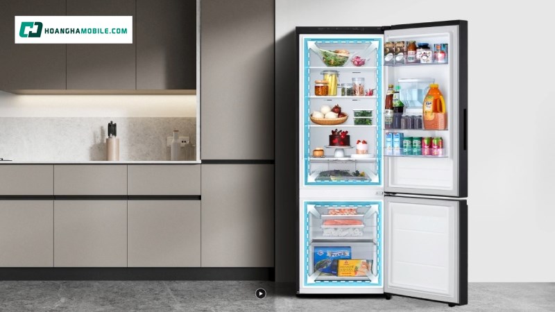 Giá tham khảo của tủ lạnh LG Inverter 332 lít Giá tham khảo của tủ lạnh LG Inverter 332 lít