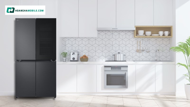 Tủ lạnh LG Inverter 666 lít