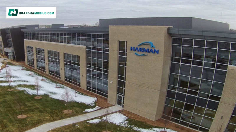 Lịch sử hình thành và phát triển Lịch sử hình thành và phát triển