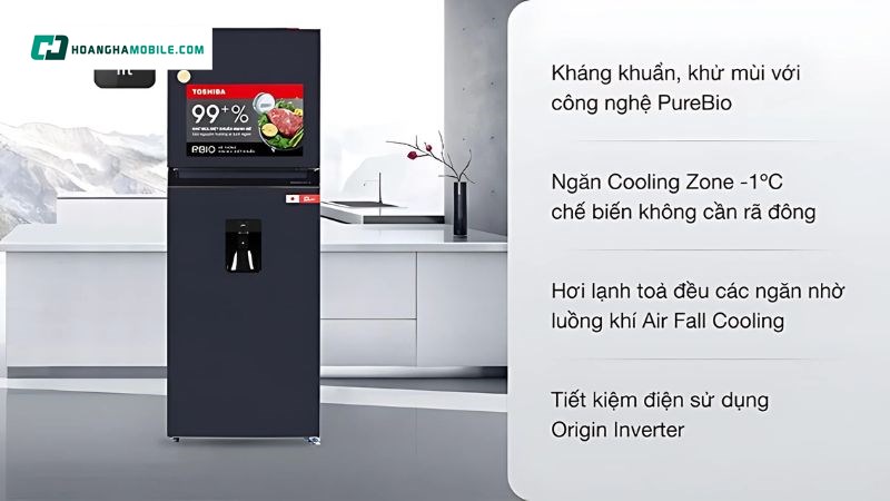 Giá tham khảo của tủ lạnh Toshiba Inverter 311 lít Giá tham khảo của tủ lạnh Toshiba Inverter 311 lít