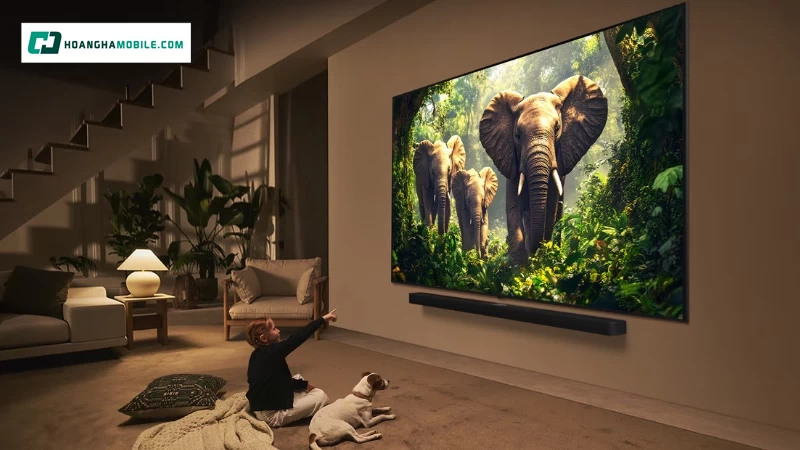 Giá tham khảo của Smart Tivi QNED Evo LG AI 4K 75 inch Giá tham khảo của Smart Tivi QNED Evo LG AI 4K 75 inch