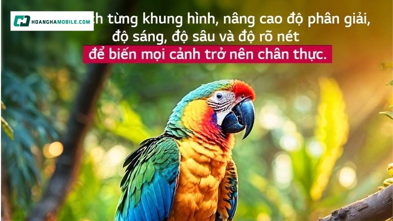 Biến đổi mọi cảnh sắc chân thực. Biến đổi mọi cảnh sắc chân thực.