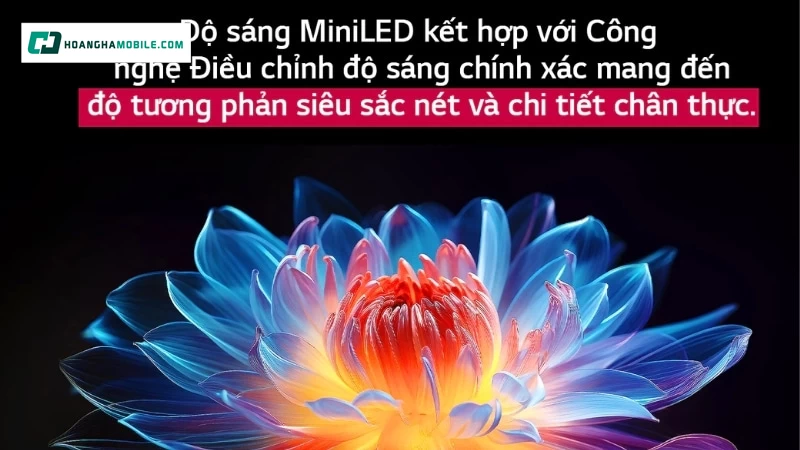 Công nghệ hình ảnh đỉnh cao từ tấm nền QNED và đèn nền MiniLED. Công nghệ hình ảnh đỉnh cao từ tấm nền QNED và đèn nền MiniLED.