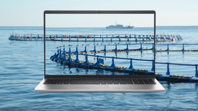 Màn hình 15.6 inch cùng độ phân giải Full HD sắc nét của laptop Dell Inspiron 15 3530-N5I7421W1 Màn hình 15.6 inch cùng độ phân giải Full HD sắc nét của laptop Dell Inspiron 15 3530-N5I7421W1