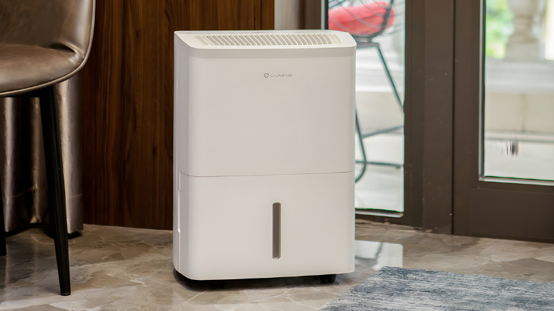 Máy hút ẩm thông minh LUMIAS D6S-20L.