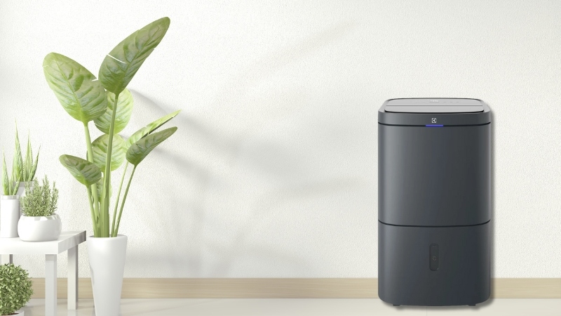 Đa dạng tiện ích cho người dùng.