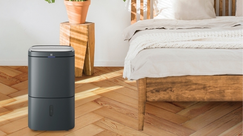 Máy hút ẩm kết hợp lọc không khí Electrolux EDH16TRBD3.