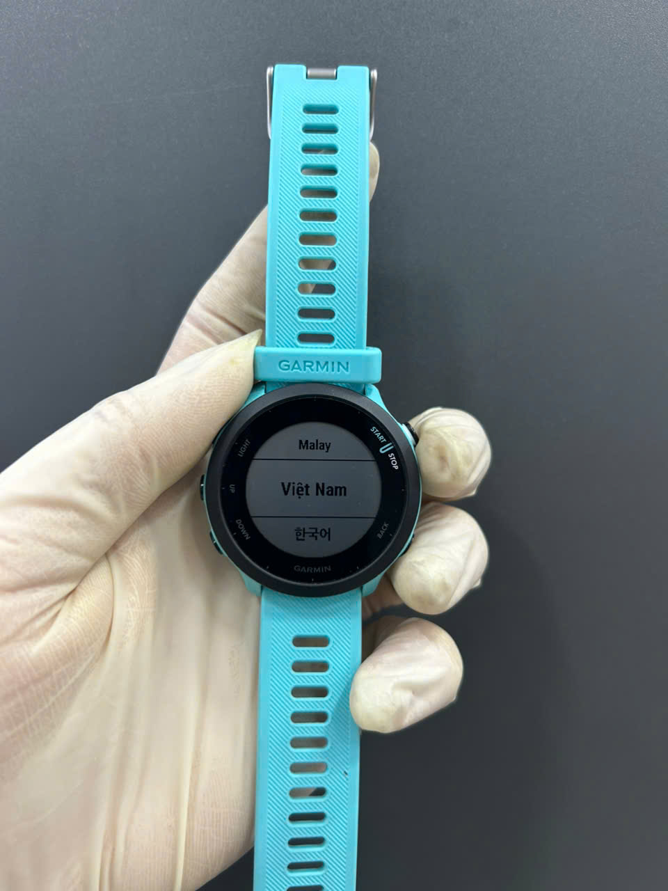 ĐHTM Garmin Forerunner 55 GPS, KOR/SE