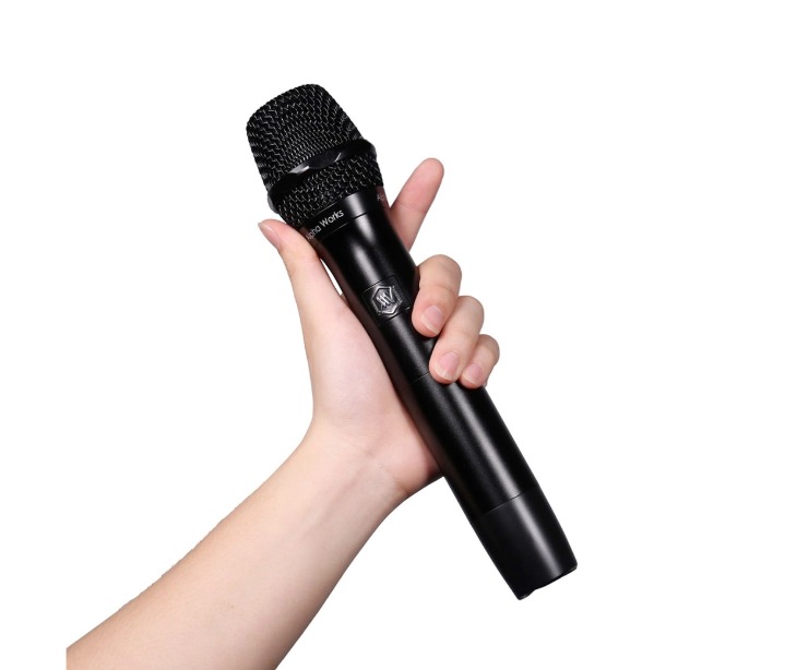 Micro không dây hiệu ALPHA WORKS D2 - VD2-GF0534 - MIAWD2