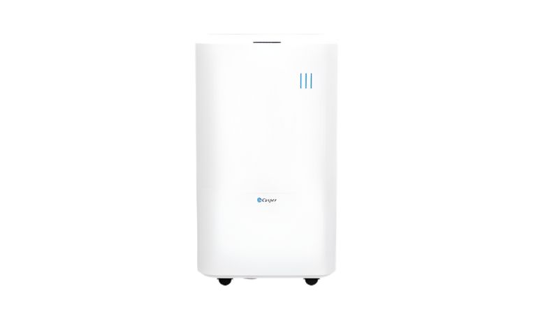 Máy hút ẩm Casper DE-12L1.