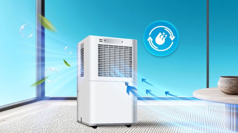 Sở hữu dung tích bình chứa tối ưu cho công suất hút.