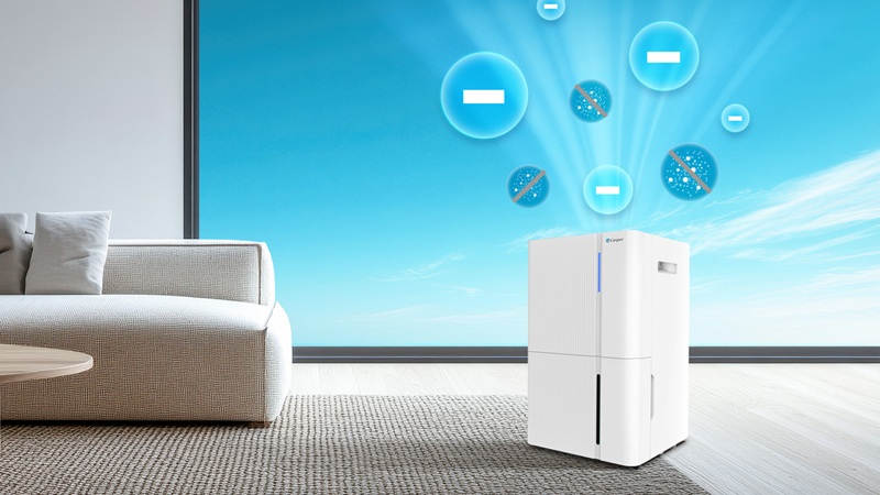 Tính năng lọc không khí và tiện ích mở rộng.