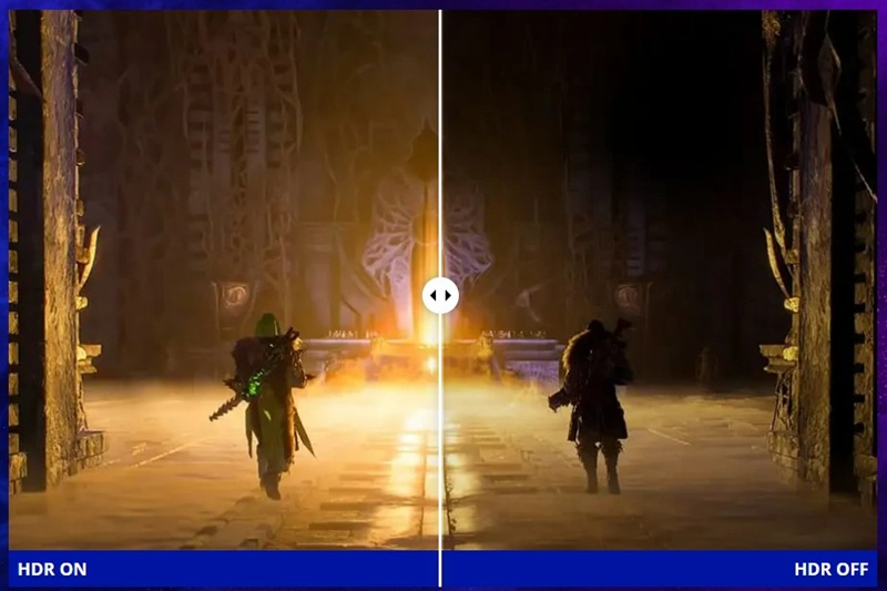 HÌnh ảnh sống động và tương phản cao.