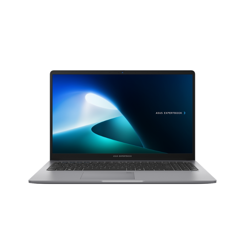 ASUS ExpertBook P1 P1503CVA-C3U08-50W