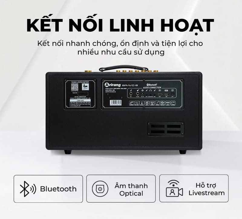 Loa Arirang BRAVO 8 hỗ trợ đa dạng cổng kết nối giúp người dùng linh hoạt hơn trong quá trình sử dụng