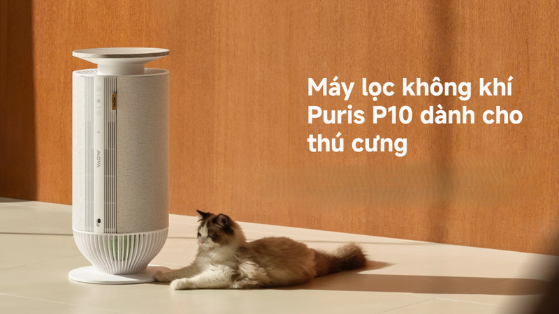 Máy lọc không khí Mova Puris P10.