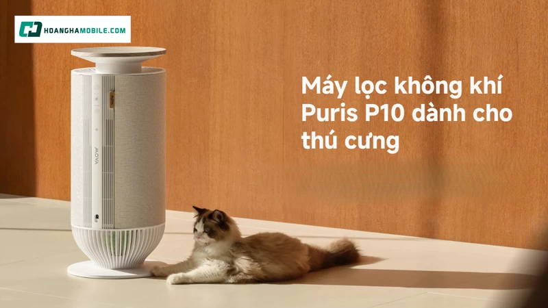 Máy lọc không khí Mova Puris P10. Máy lọc không khí Mova Puris P10.