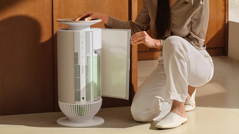 Máy lọc không khí khử mùi chuyên sâu.