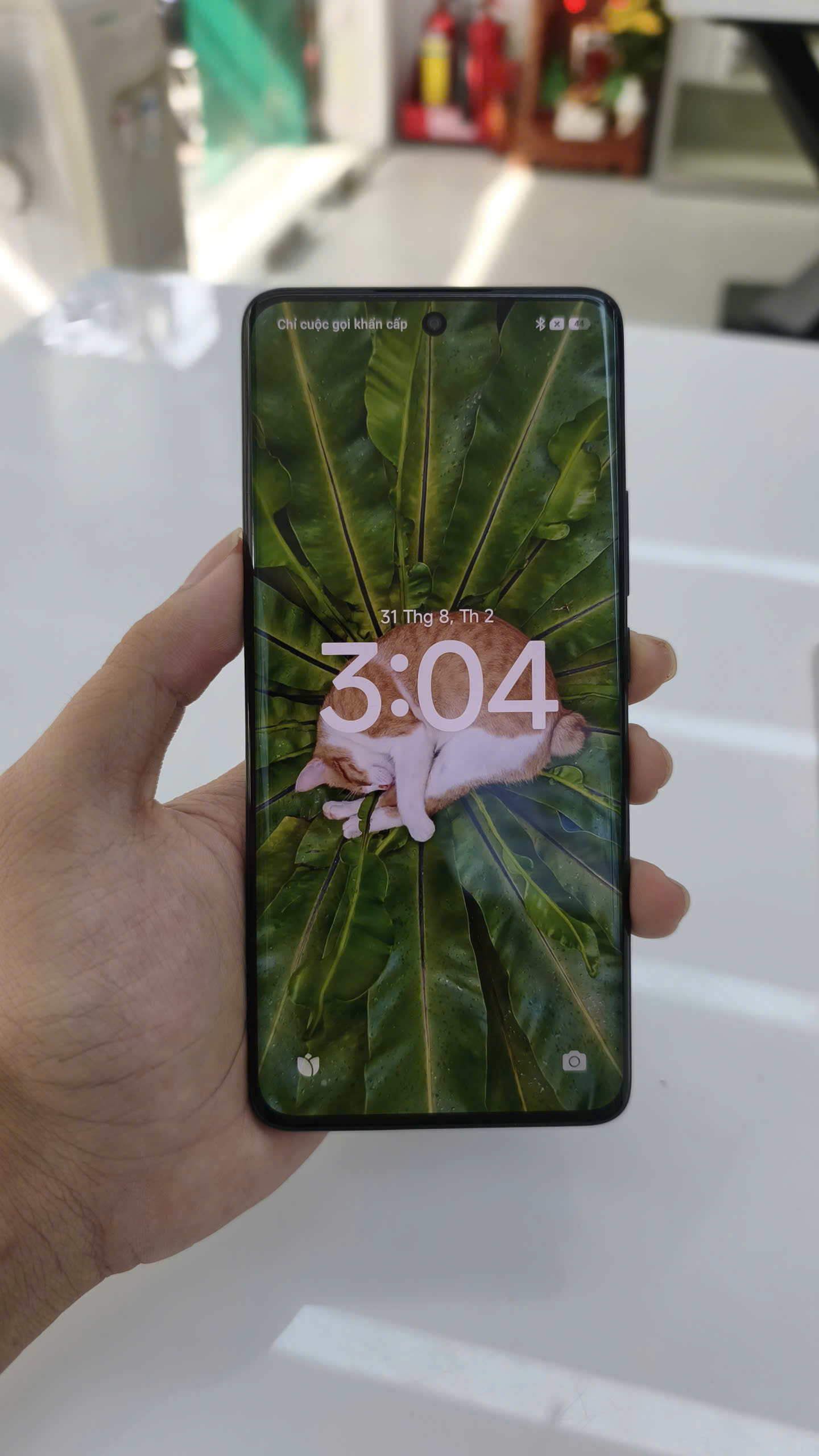 ĐIỆN THOẠI DI ĐỘNG (TEL) REDMI NOTE 15 5G 6.77"/SNAP 6 GEN 3/6G/128G/108MP+8MP/20MP/5520mAh (25098RA98G)/ĐEN (6932554469634)/TN 