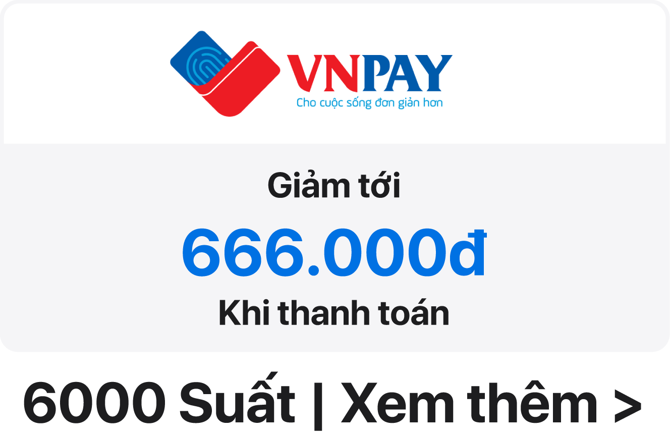 vnpay 666