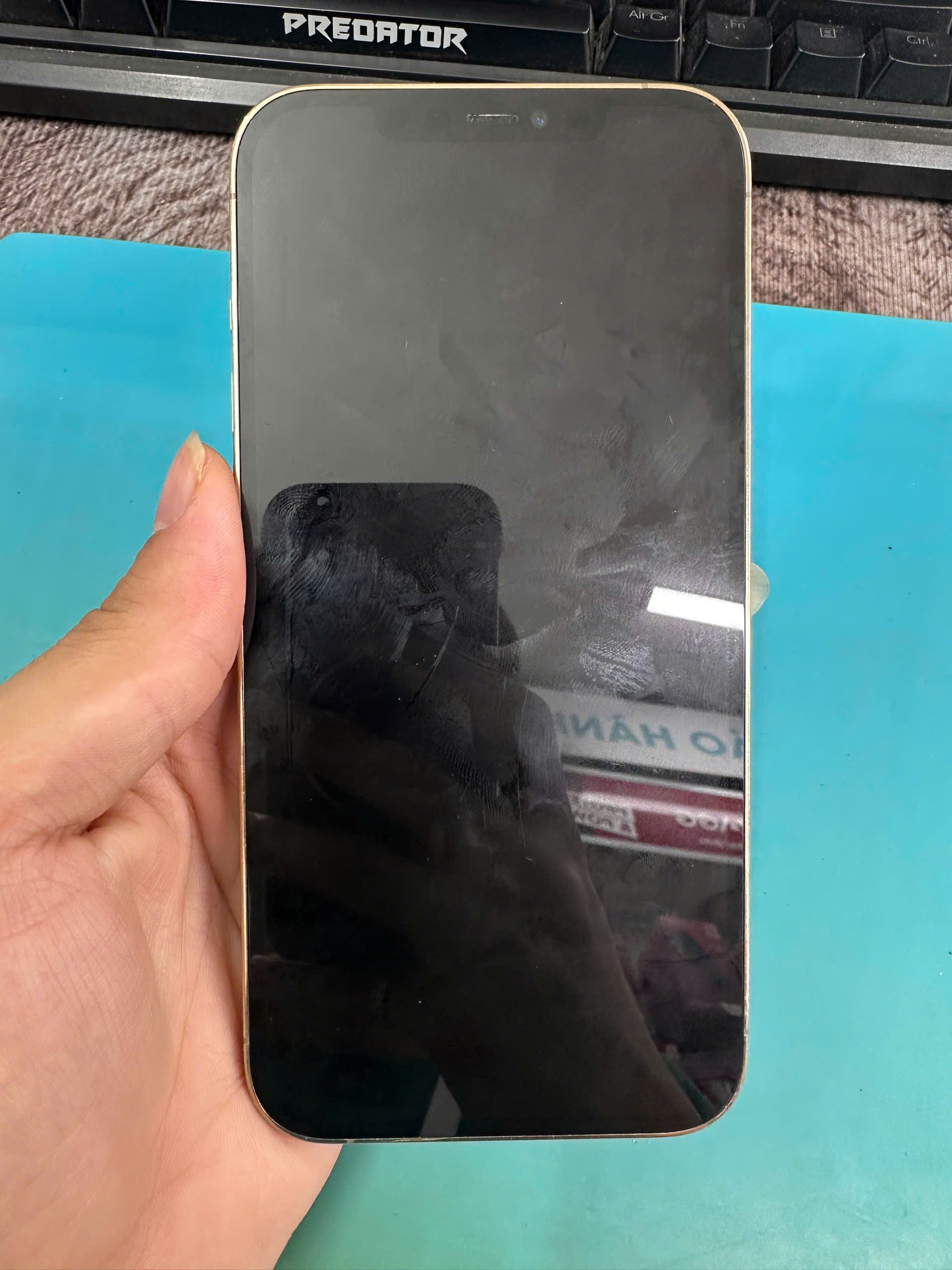 ĐTDĐ Apple iPhone 12 Pro Max 128GB Gold_MGD93VN/A - SF2MFTDY40D41 - IPH12M128G