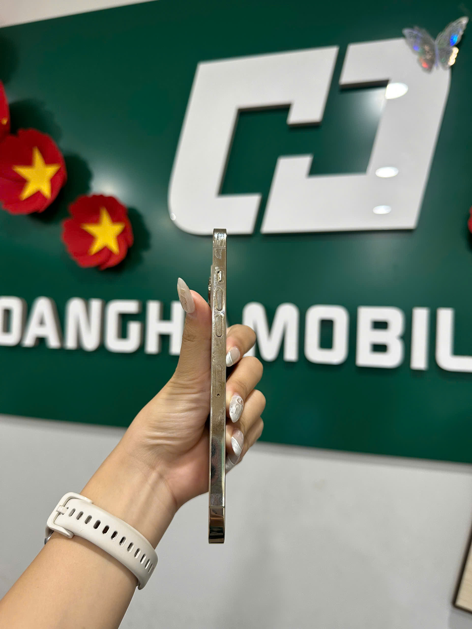 ĐTDĐ Apple iPhone 12 Pro Max 256GB Gold_MGDE3VN/A 
