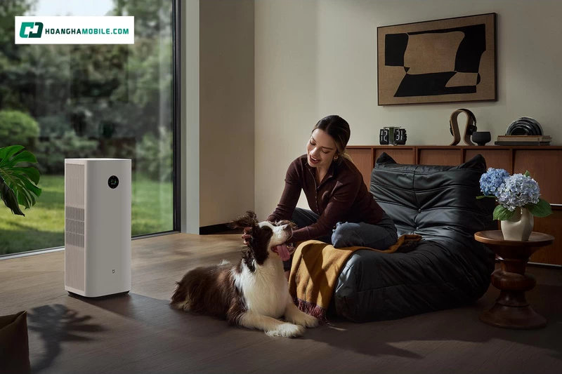 Xiaomi Mijia Smart Air Purifier 6 Plus. Xiaomi Mijia Smart Air Purifier 6 Plus.