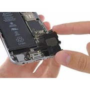 Thay loa trong / loa ngoài của iPhone 6 / iPhone 6s