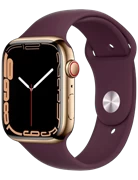 Apple Watch Series 7 - GPS + Cellular, 41mm - Vỏ Thép Dây Cao Su