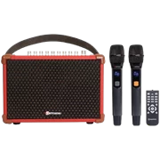 Loa Sumico Bella 42 100W (Kèm 2 Mic ) -  Chính Hãng
