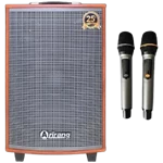 Loa Karaoke di động Arirang MKS2 - Chính Hãng - Máy cũ, TBH