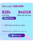 SIM VNSKY - Bộ KIT 12SKY69D