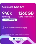 SIM VNSKY - Bộ KIT 12SKY79