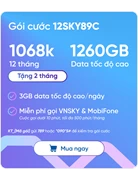 SIM VNSKY - Bộ KIT 12SKY89C