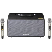 Bộ loa di động Arirang MB2s