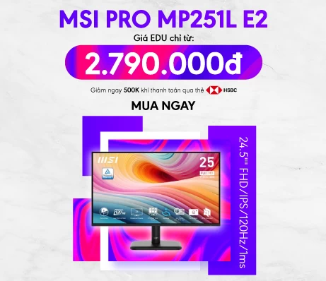 MSI Pro MP251L E2
