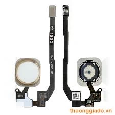 Thay phím home IPhone 5s