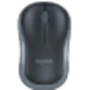 Chuột
