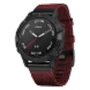 Fenix 6