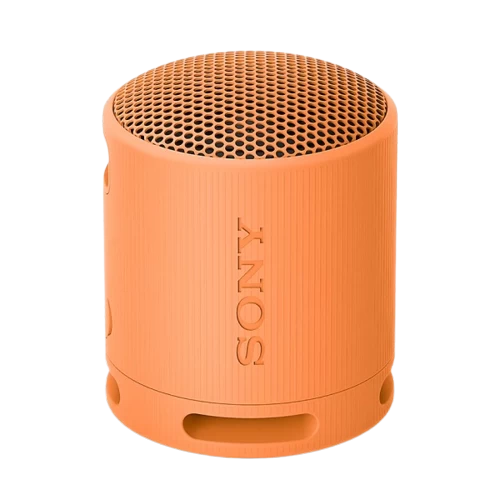 Loa Sony Srs - Xb100 - Chính Hãng