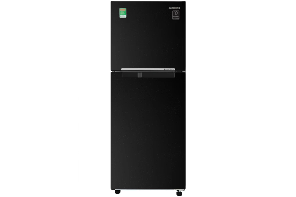 Samsung Inverter 216 lít RT20HAR8DBU/SV