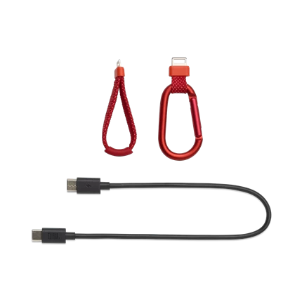  Loa Bluetooth JBL Flip 7 Red