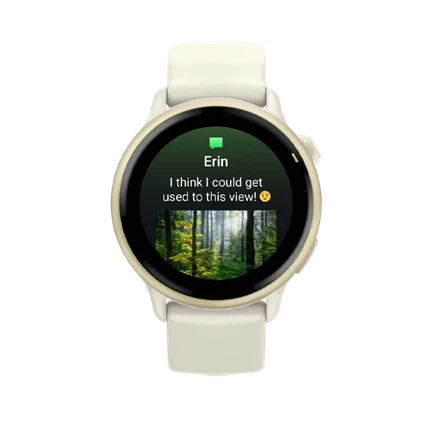 Đồng hồ thông minh Garmin Vivoactive 6 Gold