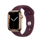 Apple Watch Series 7 - GPS + Cellular, 41mm - Vỏ Thép Dây Cao Su Gold