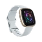Đồng hồ thông minh Fitbit Sense 2 - Chính Hãng Blue Mist