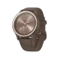 Đồng hồ Garmin Vivomove Sport  Nâu