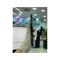 ĐTDĐ Apple iPhone 13 Pro Max 128GB - Cũ - Cũ