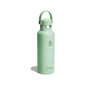 Bình giữ nhiệt Hydro Flask Standard Flex Cap 21 OZ 621 ml Season 2025 Aloe