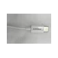 Cáp Pisen-Mr White type-C USB-A 1m - TBH